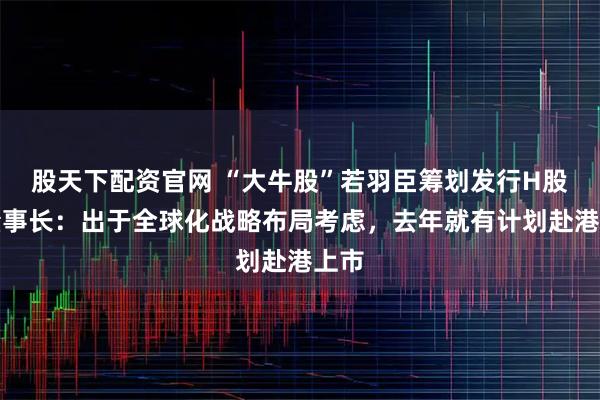 股天下配资官网 “大牛股”若羽臣筹划发行H股，董事长：出于全球化战略布局考虑，去年就有计划赴港上市